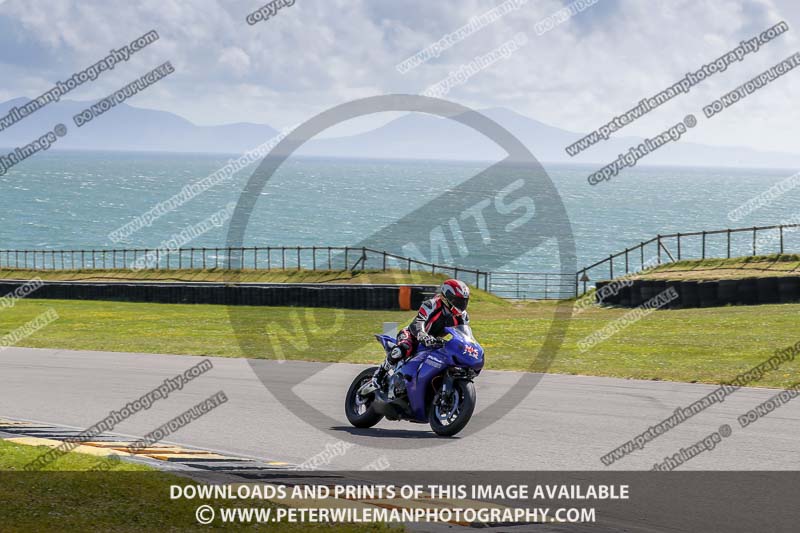 anglesey no limits trackday;anglesey photographs;anglesey trackday photographs;enduro digital images;event digital images;eventdigitalimages;no limits trackdays;peter wileman photography;racing digital images;trac mon;trackday digital images;trackday photos;ty croes