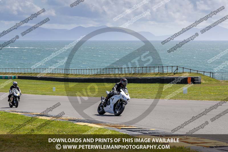 anglesey no limits trackday;anglesey photographs;anglesey trackday photographs;enduro digital images;event digital images;eventdigitalimages;no limits trackdays;peter wileman photography;racing digital images;trac mon;trackday digital images;trackday photos;ty croes