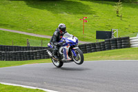 cadwell-no-limits-trackday;cadwell-park;cadwell-park-photographs;cadwell-trackday-photographs;enduro-digital-images;event-digital-images;eventdigitalimages;no-limits-trackdays;peter-wileman-photography;racing-digital-images;trackday-digital-images;trackday-photos