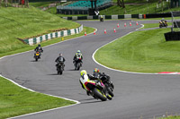 cadwell-no-limits-trackday;cadwell-park;cadwell-park-photographs;cadwell-trackday-photographs;enduro-digital-images;event-digital-images;eventdigitalimages;no-limits-trackdays;peter-wileman-photography;racing-digital-images;trackday-digital-images;trackday-photos