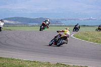 anglesey-no-limits-trackday;anglesey-photographs;anglesey-trackday-photographs;enduro-digital-images;event-digital-images;eventdigitalimages;no-limits-trackdays;peter-wileman-photography;racing-digital-images;trac-mon;trackday-digital-images;trackday-photos;ty-croes