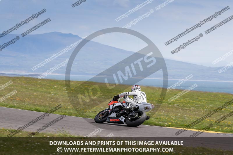 anglesey no limits trackday;anglesey photographs;anglesey trackday photographs;enduro digital images;event digital images;eventdigitalimages;no limits trackdays;peter wileman photography;racing digital images;trac mon;trackday digital images;trackday photos;ty croes