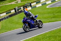 cadwell-no-limits-trackday;cadwell-park;cadwell-park-photographs;cadwell-trackday-photographs;enduro-digital-images;event-digital-images;eventdigitalimages;no-limits-trackdays;peter-wileman-photography;racing-digital-images;trackday-digital-images;trackday-photos