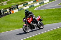 cadwell-no-limits-trackday;cadwell-park;cadwell-park-photographs;cadwell-trackday-photographs;enduro-digital-images;event-digital-images;eventdigitalimages;no-limits-trackdays;peter-wileman-photography;racing-digital-images;trackday-digital-images;trackday-photos