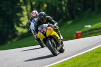 cadwell-no-limits-trackday;cadwell-park;cadwell-park-photographs;cadwell-trackday-photographs;enduro-digital-images;event-digital-images;eventdigitalimages;no-limits-trackdays;peter-wileman-photography;racing-digital-images;trackday-digital-images;trackday-photos