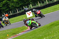 cadwell-no-limits-trackday;cadwell-park;cadwell-park-photographs;cadwell-trackday-photographs;enduro-digital-images;event-digital-images;eventdigitalimages;no-limits-trackdays;peter-wileman-photography;racing-digital-images;trackday-digital-images;trackday-photos