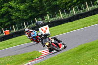 cadwell-no-limits-trackday;cadwell-park;cadwell-park-photographs;cadwell-trackday-photographs;enduro-digital-images;event-digital-images;eventdigitalimages;no-limits-trackdays;peter-wileman-photography;racing-digital-images;trackday-digital-images;trackday-photos