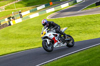 cadwell-no-limits-trackday;cadwell-park;cadwell-park-photographs;cadwell-trackday-photographs;enduro-digital-images;event-digital-images;eventdigitalimages;no-limits-trackdays;peter-wileman-photography;racing-digital-images;trackday-digital-images;trackday-photos