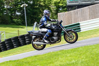 cadwell-no-limits-trackday;cadwell-park;cadwell-park-photographs;cadwell-trackday-photographs;enduro-digital-images;event-digital-images;eventdigitalimages;no-limits-trackdays;peter-wileman-photography;racing-digital-images;trackday-digital-images;trackday-photos