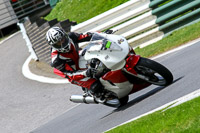 cadwell-no-limits-trackday;cadwell-park;cadwell-park-photographs;cadwell-trackday-photographs;enduro-digital-images;event-digital-images;eventdigitalimages;no-limits-trackdays;peter-wileman-photography;racing-digital-images;trackday-digital-images;trackday-photos