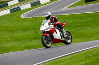 cadwell-no-limits-trackday;cadwell-park;cadwell-park-photographs;cadwell-trackday-photographs;enduro-digital-images;event-digital-images;eventdigitalimages;no-limits-trackdays;peter-wileman-photography;racing-digital-images;trackday-digital-images;trackday-photos