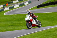 cadwell-no-limits-trackday;cadwell-park;cadwell-park-photographs;cadwell-trackday-photographs;enduro-digital-images;event-digital-images;eventdigitalimages;no-limits-trackdays;peter-wileman-photography;racing-digital-images;trackday-digital-images;trackday-photos