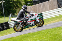 cadwell-no-limits-trackday;cadwell-park;cadwell-park-photographs;cadwell-trackday-photographs;enduro-digital-images;event-digital-images;eventdigitalimages;no-limits-trackdays;peter-wileman-photography;racing-digital-images;trackday-digital-images;trackday-photos