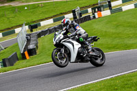 cadwell-no-limits-trackday;cadwell-park;cadwell-park-photographs;cadwell-trackday-photographs;enduro-digital-images;event-digital-images;eventdigitalimages;no-limits-trackdays;peter-wileman-photography;racing-digital-images;trackday-digital-images;trackday-photos