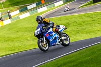 cadwell-no-limits-trackday;cadwell-park;cadwell-park-photographs;cadwell-trackday-photographs;enduro-digital-images;event-digital-images;eventdigitalimages;no-limits-trackdays;peter-wileman-photography;racing-digital-images;trackday-digital-images;trackday-photos