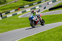 cadwell-no-limits-trackday;cadwell-park;cadwell-park-photographs;cadwell-trackday-photographs;enduro-digital-images;event-digital-images;eventdigitalimages;no-limits-trackdays;peter-wileman-photography;racing-digital-images;trackday-digital-images;trackday-photos