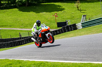 cadwell-no-limits-trackday;cadwell-park;cadwell-park-photographs;cadwell-trackday-photographs;enduro-digital-images;event-digital-images;eventdigitalimages;no-limits-trackdays;peter-wileman-photography;racing-digital-images;trackday-digital-images;trackday-photos