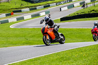 cadwell-no-limits-trackday;cadwell-park;cadwell-park-photographs;cadwell-trackday-photographs;enduro-digital-images;event-digital-images;eventdigitalimages;no-limits-trackdays;peter-wileman-photography;racing-digital-images;trackday-digital-images;trackday-photos