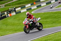 cadwell-no-limits-trackday;cadwell-park;cadwell-park-photographs;cadwell-trackday-photographs;enduro-digital-images;event-digital-images;eventdigitalimages;no-limits-trackdays;peter-wileman-photography;racing-digital-images;trackday-digital-images;trackday-photos