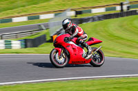 cadwell-no-limits-trackday;cadwell-park;cadwell-park-photographs;cadwell-trackday-photographs;enduro-digital-images;event-digital-images;eventdigitalimages;no-limits-trackdays;peter-wileman-photography;racing-digital-images;trackday-digital-images;trackday-photos