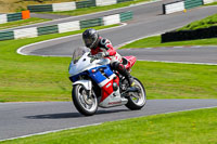 cadwell-no-limits-trackday;cadwell-park;cadwell-park-photographs;cadwell-trackday-photographs;enduro-digital-images;event-digital-images;eventdigitalimages;no-limits-trackdays;peter-wileman-photography;racing-digital-images;trackday-digital-images;trackday-photos