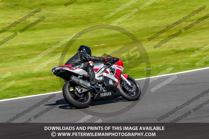 cadwell no limits trackday;cadwell park;cadwell park photographs;cadwell trackday photographs;enduro digital images;event digital images;eventdigitalimages;no limits trackdays;peter wileman photography;racing digital images;trackday digital images;trackday photos