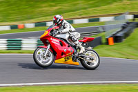 cadwell-no-limits-trackday;cadwell-park;cadwell-park-photographs;cadwell-trackday-photographs;enduro-digital-images;event-digital-images;eventdigitalimages;no-limits-trackdays;peter-wileman-photography;racing-digital-images;trackday-digital-images;trackday-photos