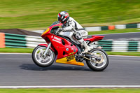 cadwell-no-limits-trackday;cadwell-park;cadwell-park-photographs;cadwell-trackday-photographs;enduro-digital-images;event-digital-images;eventdigitalimages;no-limits-trackdays;peter-wileman-photography;racing-digital-images;trackday-digital-images;trackday-photos