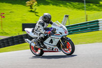 cadwell-no-limits-trackday;cadwell-park;cadwell-park-photographs;cadwell-trackday-photographs;enduro-digital-images;event-digital-images;eventdigitalimages;no-limits-trackdays;peter-wileman-photography;racing-digital-images;trackday-digital-images;trackday-photos