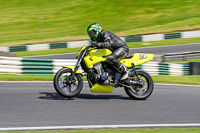 cadwell-no-limits-trackday;cadwell-park;cadwell-park-photographs;cadwell-trackday-photographs;enduro-digital-images;event-digital-images;eventdigitalimages;no-limits-trackdays;peter-wileman-photography;racing-digital-images;trackday-digital-images;trackday-photos