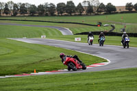 Middle Group Red Bikes