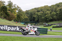 Lower Group White Bikes