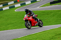 cadwell-no-limits-trackday;cadwell-park;cadwell-park-photographs;cadwell-trackday-photographs;enduro-digital-images;event-digital-images;eventdigitalimages;no-limits-trackdays;peter-wileman-photography;racing-digital-images;trackday-digital-images;trackday-photos