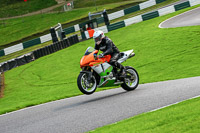 cadwell-no-limits-trackday;cadwell-park;cadwell-park-photographs;cadwell-trackday-photographs;enduro-digital-images;event-digital-images;eventdigitalimages;no-limits-trackdays;peter-wileman-photography;racing-digital-images;trackday-digital-images;trackday-photos