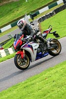 cadwell-no-limits-trackday;cadwell-park;cadwell-park-photographs;cadwell-trackday-photographs;enduro-digital-images;event-digital-images;eventdigitalimages;no-limits-trackdays;peter-wileman-photography;racing-digital-images;trackday-digital-images;trackday-photos