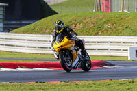 Middle Group Yellow Bikes