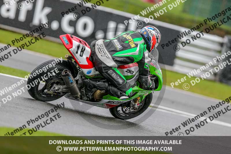 PJM Photography;anglesey;brands hatch;cadwell park;croft;donington park;enduro digital images;event digital images;eventdigitalimages;mallory;no limits;oltonpark April 2018;oulton park;peter wileman photography;racing digital images;silverstone;snetterton;trackday digital images;trackday photos;vmcc banbury run;welsh 2 day enduro