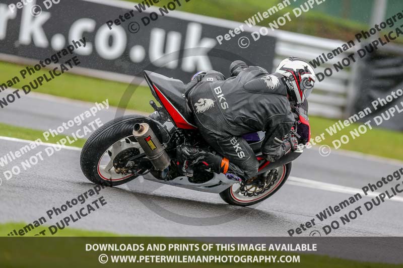 PJM Photography;anglesey;brands hatch;cadwell park;croft;donington park;enduro digital images;event digital images;eventdigitalimages;mallory;no limits;oltonpark April 2018;oulton park;peter wileman photography;racing digital images;silverstone;snetterton;trackday digital images;trackday photos;vmcc banbury run;welsh 2 day enduro