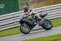 anglesey;brands-hatch;cadwell-park;croft;donington-park;enduro-digital-images;event-digital-images;eventdigitalimages;mallory;no-limits;oltonpark-April-2018;oulton-park;peter-wileman-photography;racing-digital-images;silverstone;snetterton;trackday-digital-images;trackday-photos;vmcc-banbury-run;welsh-2-day-enduro