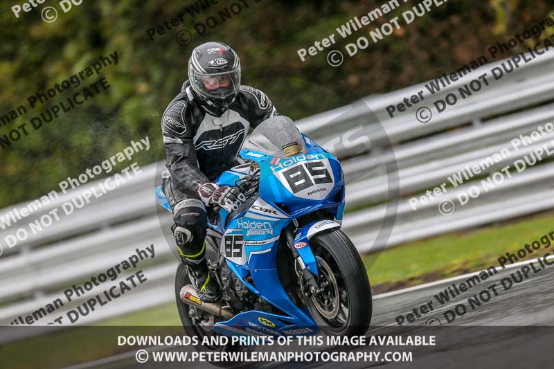 anglesey;brands hatch;cadwell park;croft;donington park;enduro digital images;event digital images;eventdigitalimages;mallory;no limits;oltonpark April 2018;oulton park;peter wileman photography;racing digital images;silverstone;snetterton;trackday digital images;trackday photos;vmcc banbury run;welsh 2 day enduro