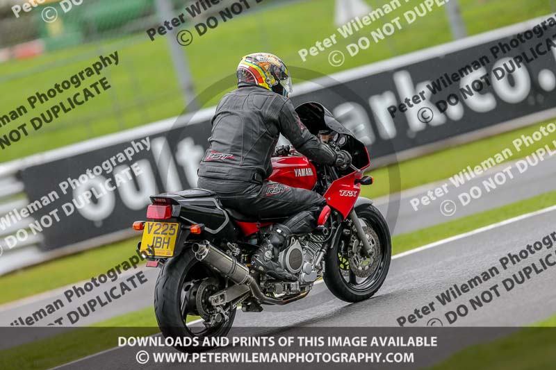 anglesey;brands hatch;cadwell park;croft;donington park;enduro digital images;event digital images;eventdigitalimages;mallory;no limits;oltonpark April 2018;oulton park;peter wileman photography;racing digital images;silverstone;snetterton;trackday digital images;trackday photos;vmcc banbury run;welsh 2 day enduro