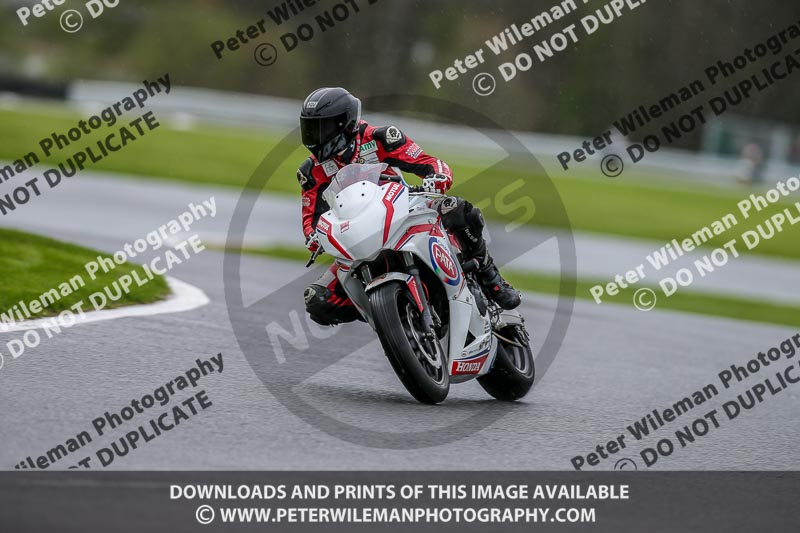 anglesey;brands hatch;cadwell park;croft;donington park;enduro digital images;event digital images;eventdigitalimages;mallory;no limits;oltonpark April 2018;oulton park;peter wileman photography;racing digital images;silverstone;snetterton;trackday digital images;trackday photos;vmcc banbury run;welsh 2 day enduro