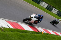 cadwell-no-limits-trackday;cadwell-park;cadwell-park-photographs;cadwell-trackday-photographs;enduro-digital-images;event-digital-images;eventdigitalimages;no-limits-trackdays;peter-wileman-photography;racing-digital-images;trackday-digital-images;trackday-photos