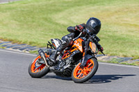 Lower Group Orange Bikes