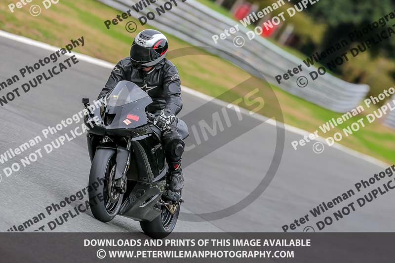 Oulton Park 17 Aug 2018;PJ Motorsport Photography 2018;anglesey;brands hatch;cadwell park;croft;donington park;enduro digital images;event digital images;eventdigitalimages;mallory;no limits;oulton park;peter wileman photography;racing digital images;silverstone;snetterton;trackday digital images;trackday photos;vmcc banbury run;welsh 2 day enduro