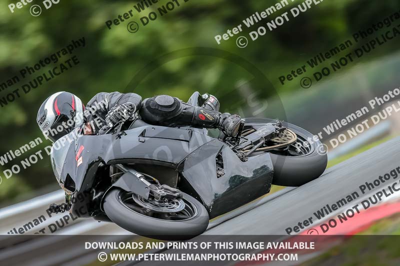 Oulton Park 17 Aug 2018;PJ Motorsport Photography 2018;anglesey;brands hatch;cadwell park;croft;donington park;enduro digital images;event digital images;eventdigitalimages;mallory;no limits;oulton park;peter wileman photography;racing digital images;silverstone;snetterton;trackday digital images;trackday photos;vmcc banbury run;welsh 2 day enduro