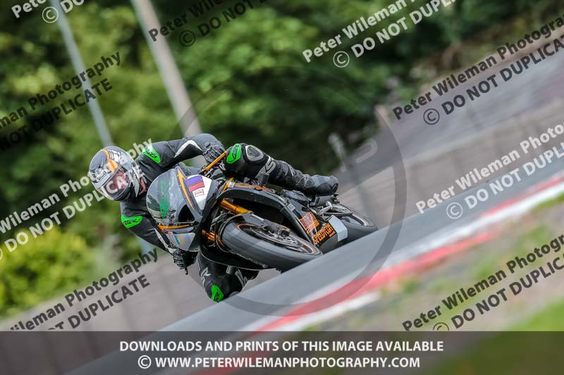 Oulton Park 17 Aug 2018;PJ Motorsport Photography 2018;anglesey;brands hatch;cadwell park;croft;donington park;enduro digital images;event digital images;eventdigitalimages;mallory;no limits;oulton park;peter wileman photography;racing digital images;silverstone;snetterton;trackday digital images;trackday photos;vmcc banbury run;welsh 2 day enduro