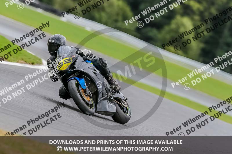 Oulton Park 17 Aug 2018;PJ Motorsport Photography 2018;anglesey;brands hatch;cadwell park;croft;donington park;enduro digital images;event digital images;eventdigitalimages;mallory;no limits;oulton park;peter wileman photography;racing digital images;silverstone;snetterton;trackday digital images;trackday photos;vmcc banbury run;welsh 2 day enduro