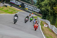 Oulton-Park-17-Aug-2018;PJ-Motorsport-Photography-2018;anglesey;brands-hatch;cadwell-park;croft;donington-park;enduro-digital-images;event-digital-images;eventdigitalimages;mallory;no-limits;oulton-park;peter-wileman-photography;racing-digital-images;silverstone;snetterton;trackday-digital-images;trackday-photos;vmcc-banbury-run;welsh-2-day-enduro