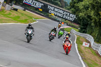 Oulton-Park-17-Aug-2018;PJ-Motorsport-Photography-2018;anglesey;brands-hatch;cadwell-park;croft;donington-park;enduro-digital-images;event-digital-images;eventdigitalimages;mallory;no-limits;oulton-park;peter-wileman-photography;racing-digital-images;silverstone;snetterton;trackday-digital-images;trackday-photos;vmcc-banbury-run;welsh-2-day-enduro